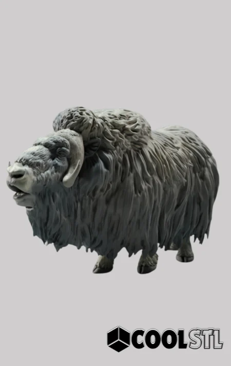 Musk Ox Ram Calling Cool STL